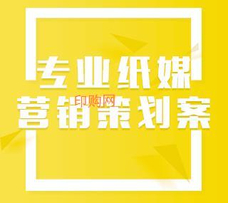 专业纸媒营销策划方案